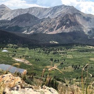 Meet your Posher, Logan